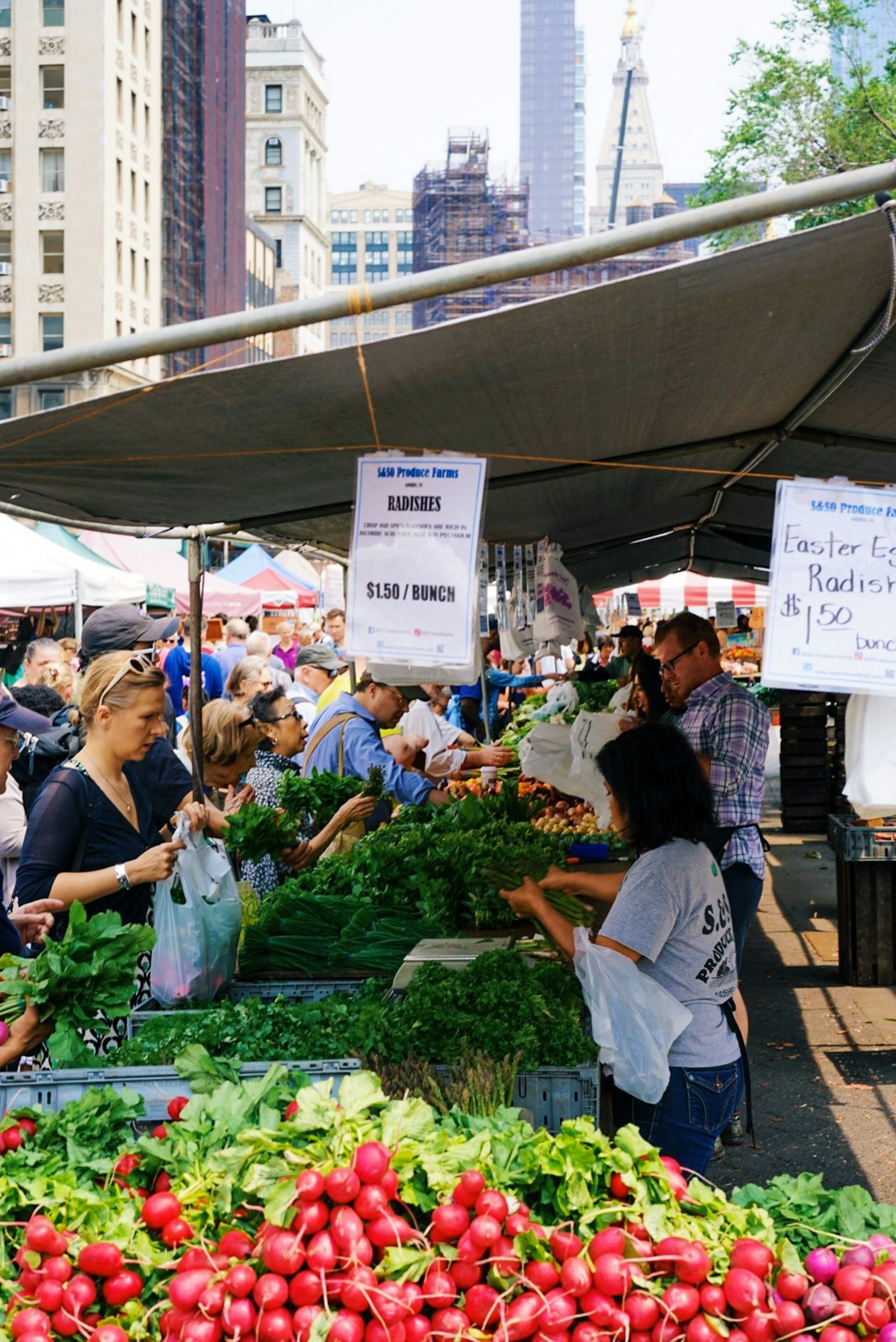 Navigating Regional Politics: Key Takeaways for Everyday Citizens